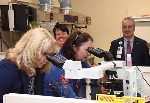 VISN 6 Director DeAnne Seekins is pictured viewing blood platelets through a microscope 